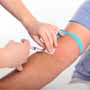 Environmental Causes of Type 1 Diabetes